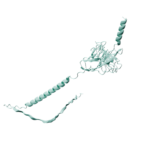 Mouse DNAM-1 (C-6His, HEK293)